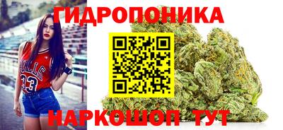 Альфа ПВП Краснознаменск