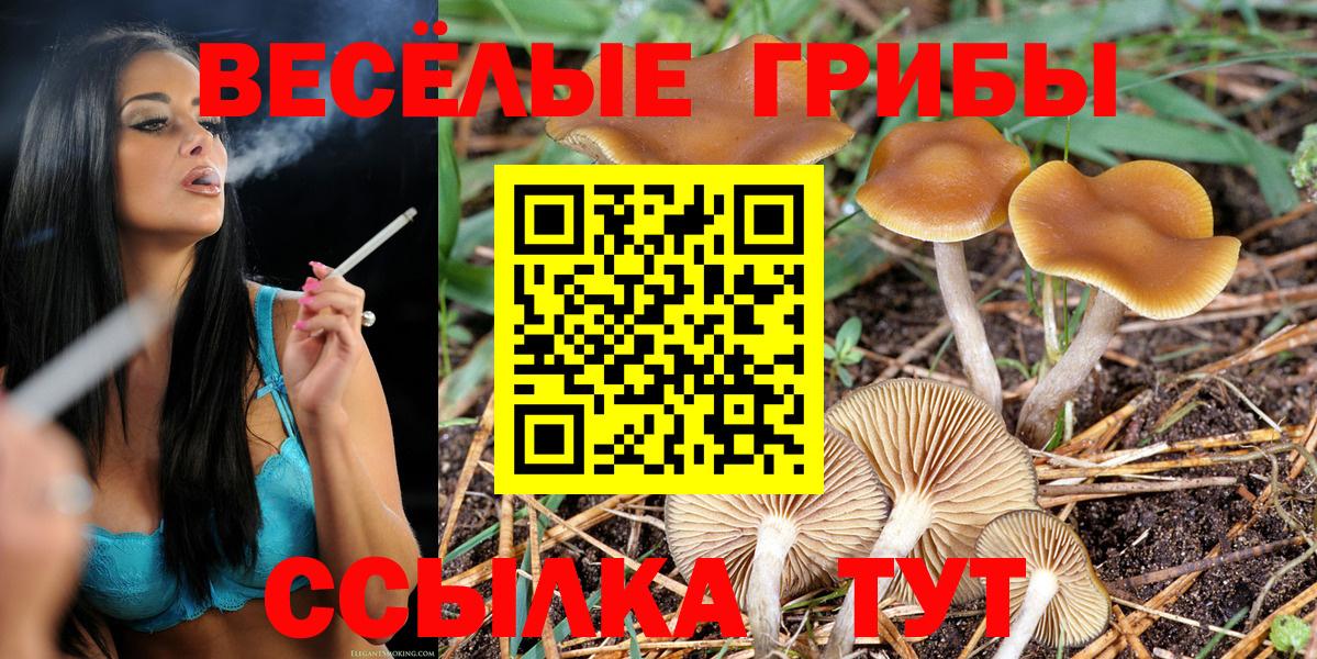 как найти наркотики  Галлюциногенные грибы Magic Shrooms  Галлюциногенные грибы прущие грибы  Вход с VPN  Клинцы 